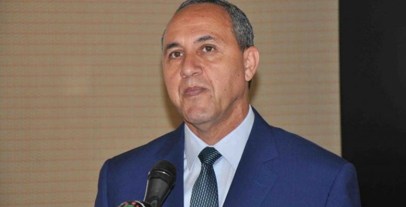 النسخة المصغرة
