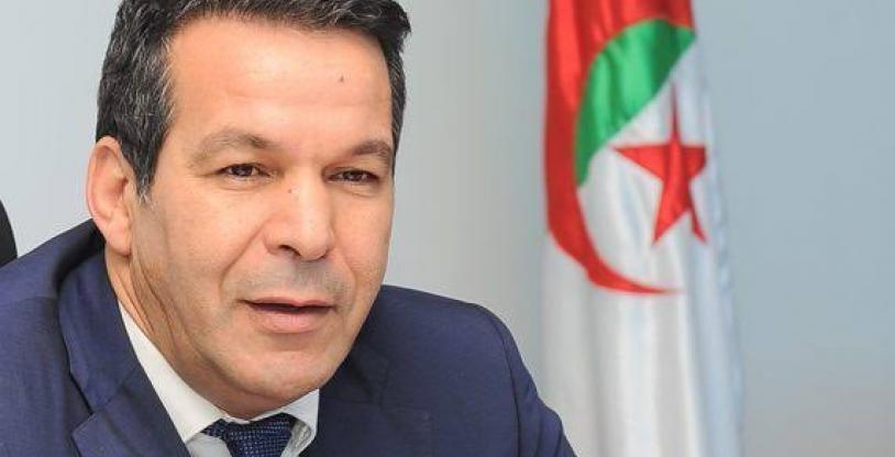 النسخة المصغرة