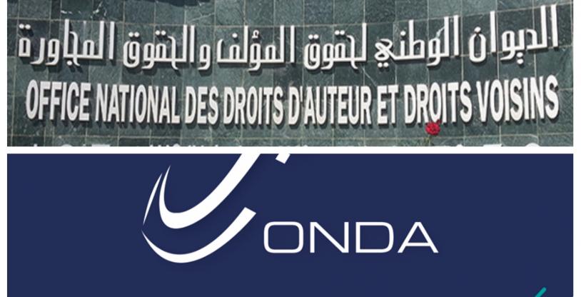 النسخة المصغرة