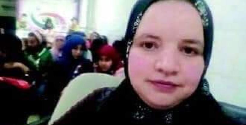 النسخة المصغرة