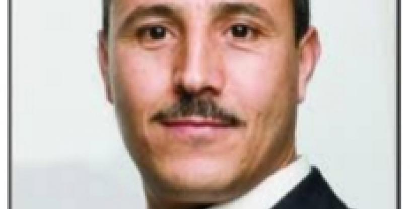 النسخة المصغرة