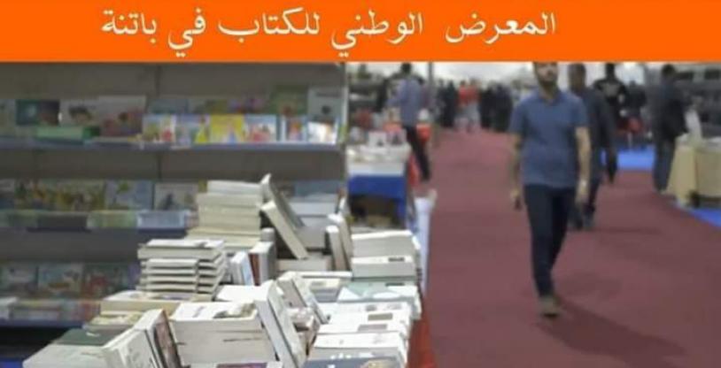 النسخة المصغرة