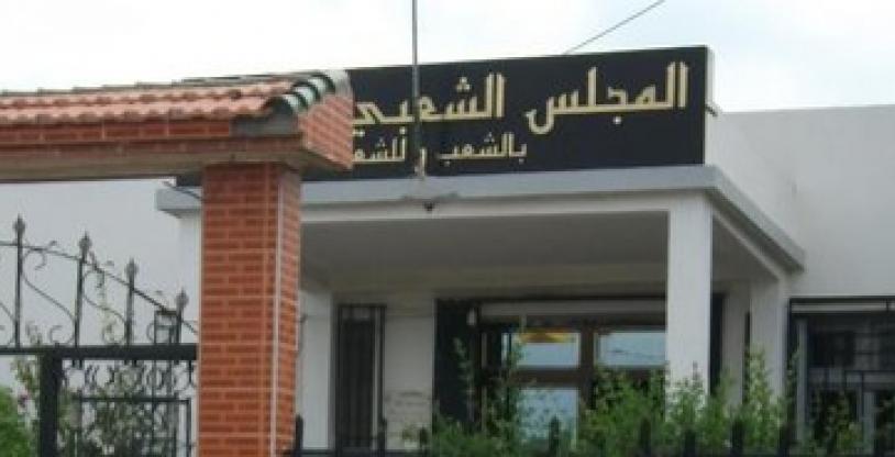 النسخة المصغرة