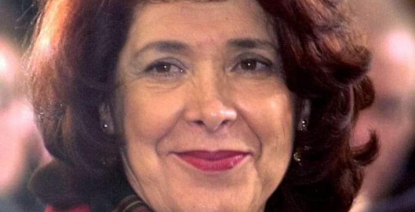 النسخة المصغرة