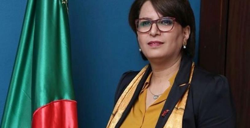 النسخة المصغرة