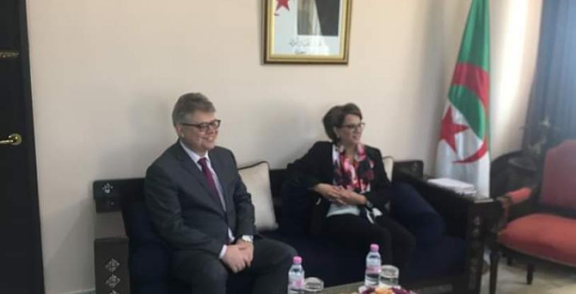 النسخة المصغرة