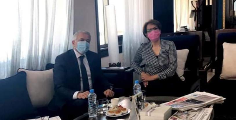 النسخة المصغرة