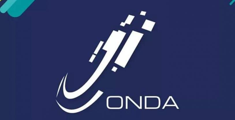 النسخة المصغرة