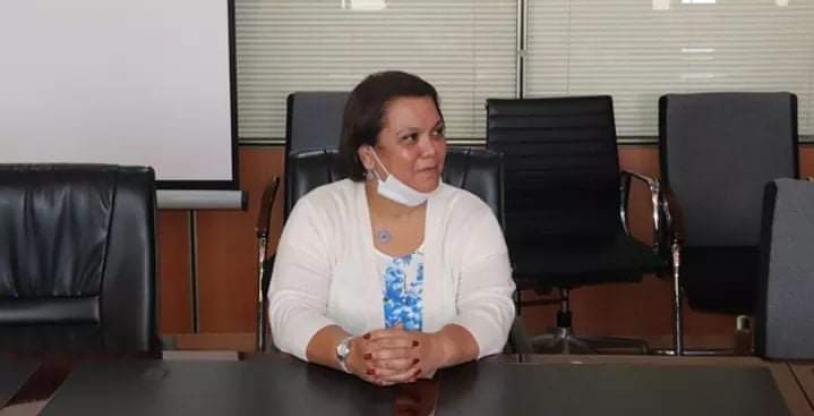 النسخة المصغرة