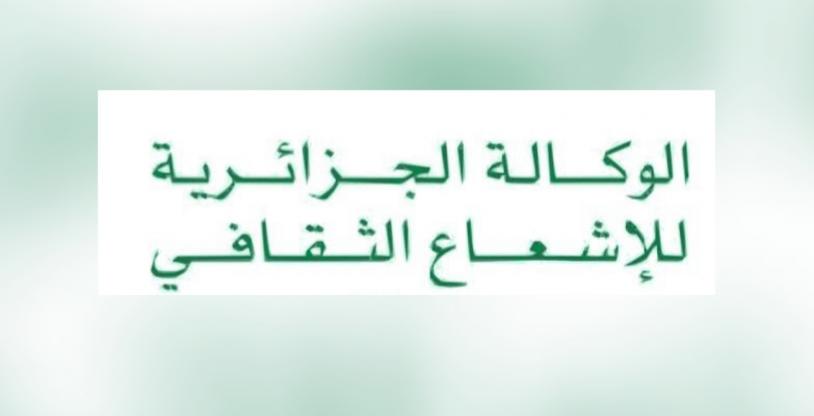 النسخة المصغرة