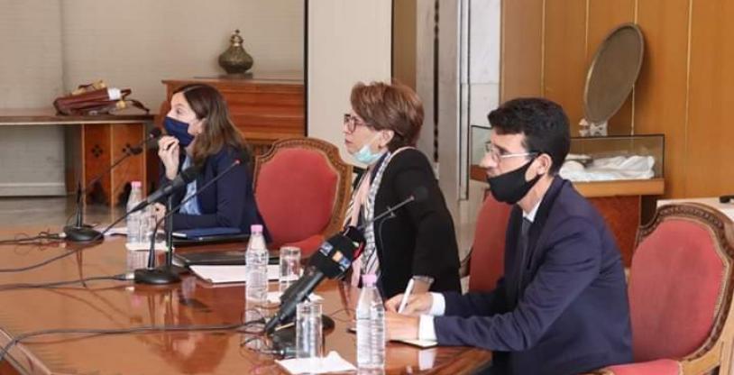 النسخة المصغرة