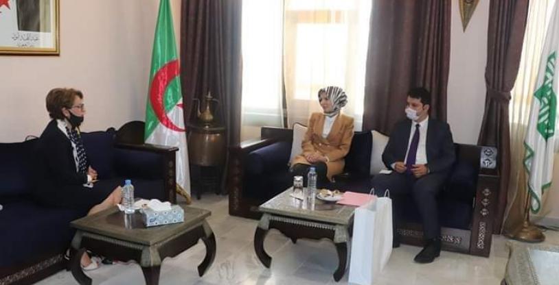 النسخة المصغرة