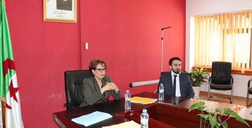 النسخة المصغرة