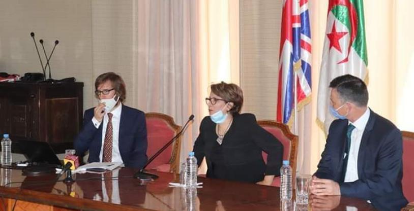 النسخة المصغرة