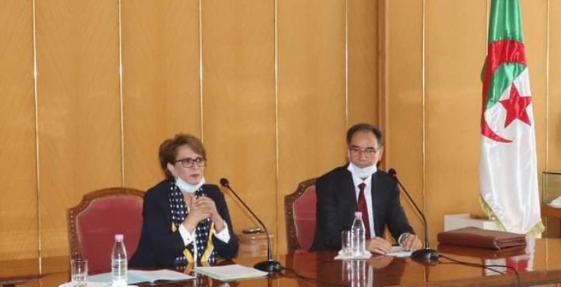 النسخة المصغرة