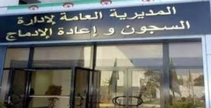 النسخة المصغرة
