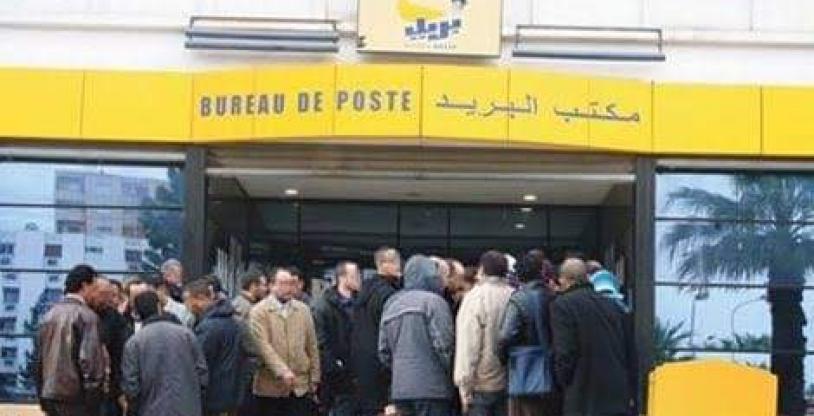 النسخة المصغرة