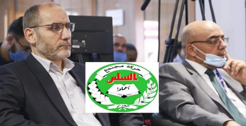 النسخة المصغرة