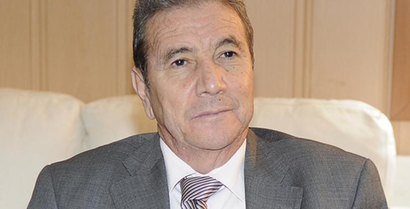 النسخة المصغرة