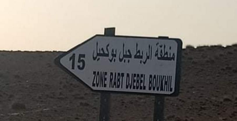 النسخة المصغرة