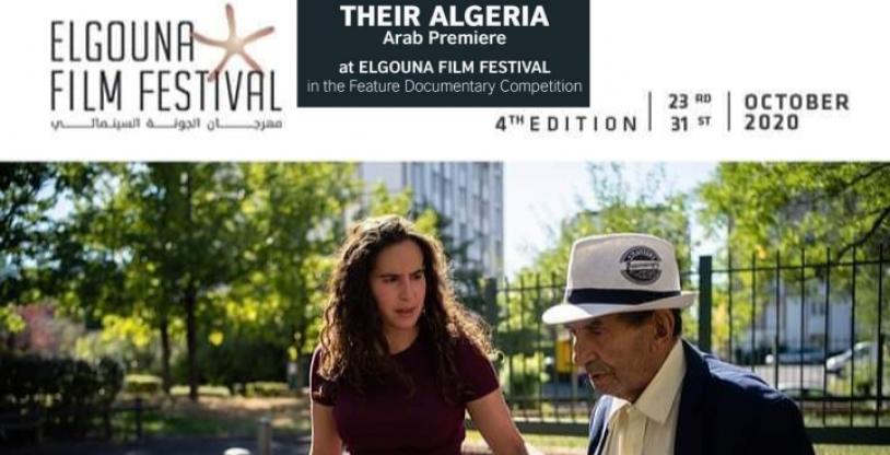 النسخة المصغرة