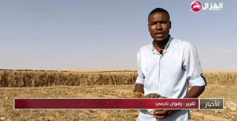 النسخة المصغرة