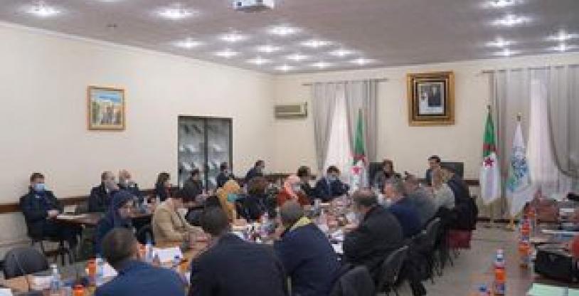 النسخة المصغرة