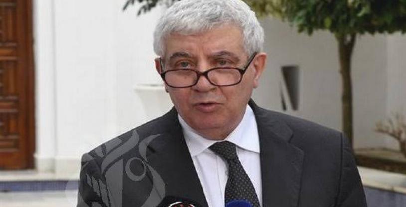 النسخة المصغرة