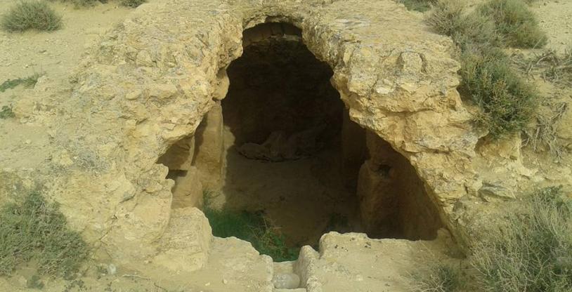 النسخة المصغرة