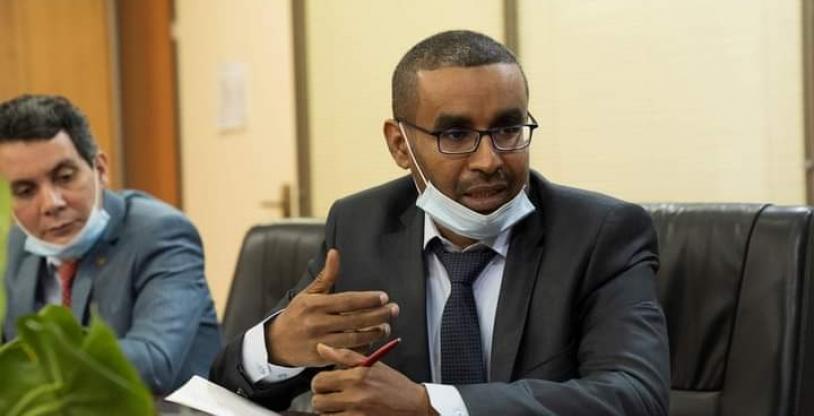 النسخة المصغرة