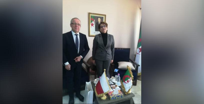 النسخة المصغرة