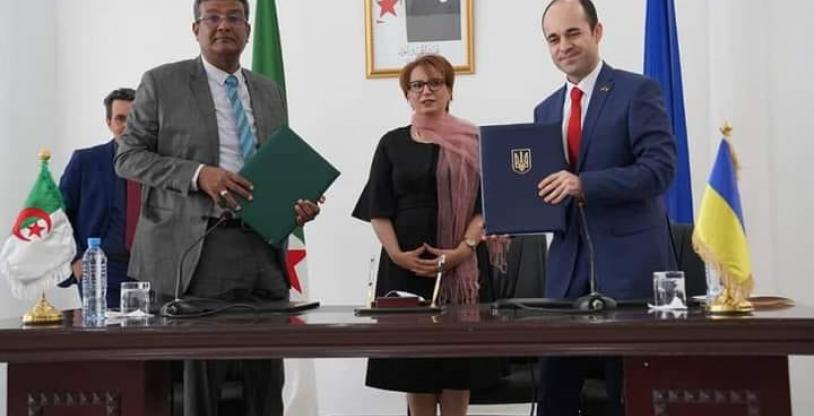 النسخة المصغرة