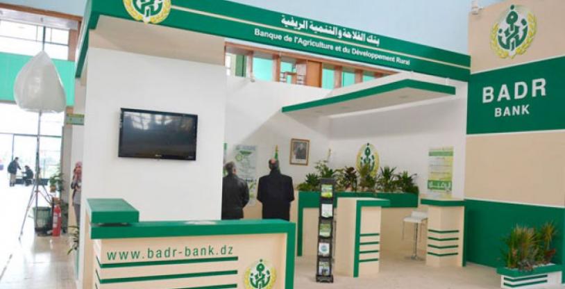 النسخة المصغرة