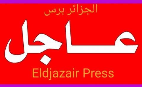 النسخة المصغرة