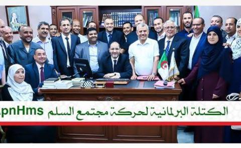 النسخة المصغرة