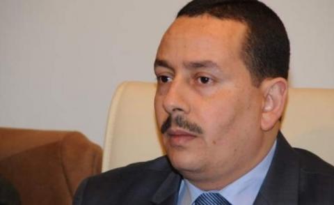 النسخة المصغرة