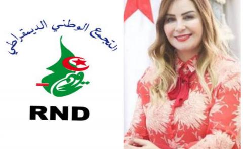 النسخة المصغرة