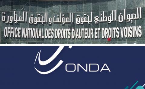 النسخة المصغرة