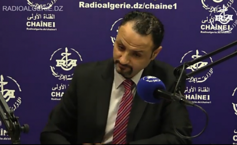 النسخة المصغرة