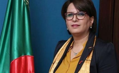 النسخة المصغرة