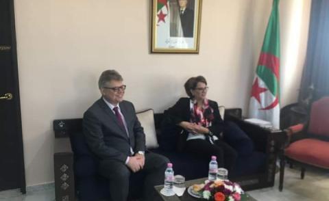 النسخة المصغرة