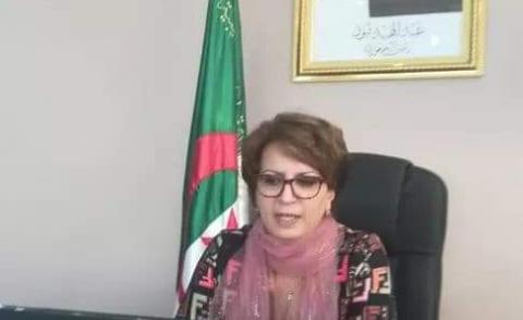 النسخة المصغرة