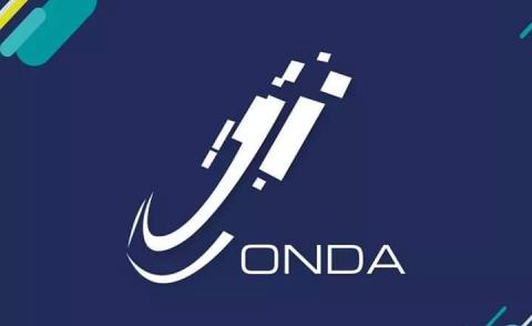 النسخة المصغرة