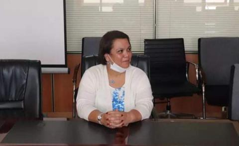 النسخة المصغرة