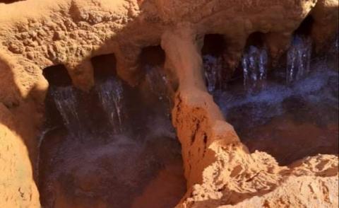 النسخة المصغرة