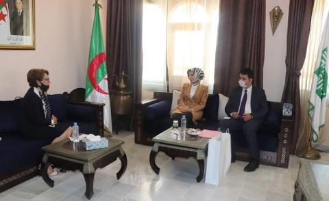 النسخة المصغرة