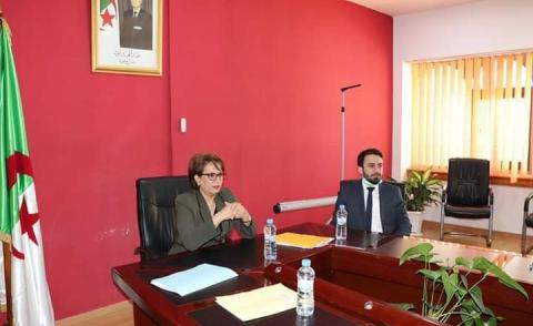 النسخة المصغرة