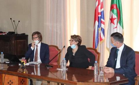 النسخة المصغرة