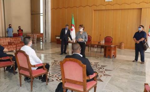 النسخة المصغرة