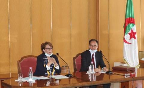 النسخة المصغرة